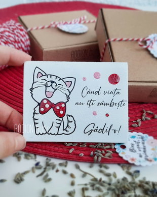 Martisor pisicuta magnet pictat manual cu mesaj