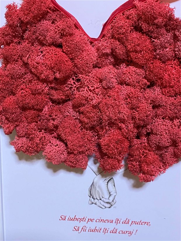 Tablou inima cu licheni stabilizati rosii