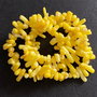 Lchips 15 - coral galben