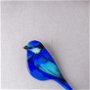 Brosa Blue Bird
