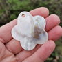Pandant shell