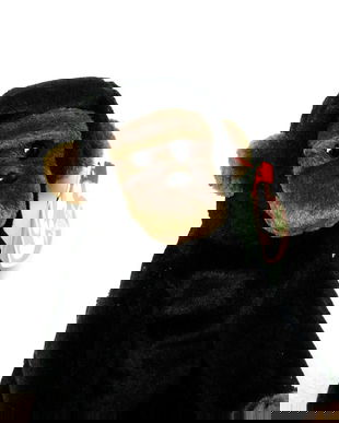 Bongo The Monkey (231)