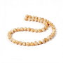 (10buc.) Trochid shell 4,5mm