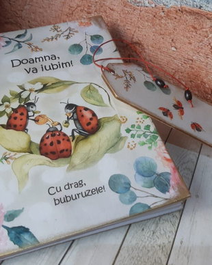 Agenda personalizata - tema buburuze (Cadou pentru invatatoare/educatoare)