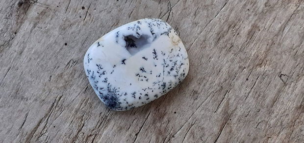 Cabochon opal dendritic, 27x22 mm