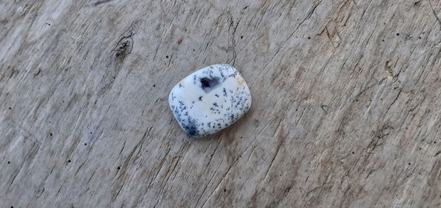 Cabochon opal dendritic, 27x22 mm