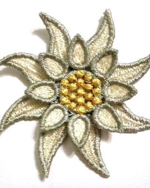 Brosa Floare de Colt