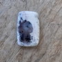 Cabochon opal dendritic, 30x20 mm