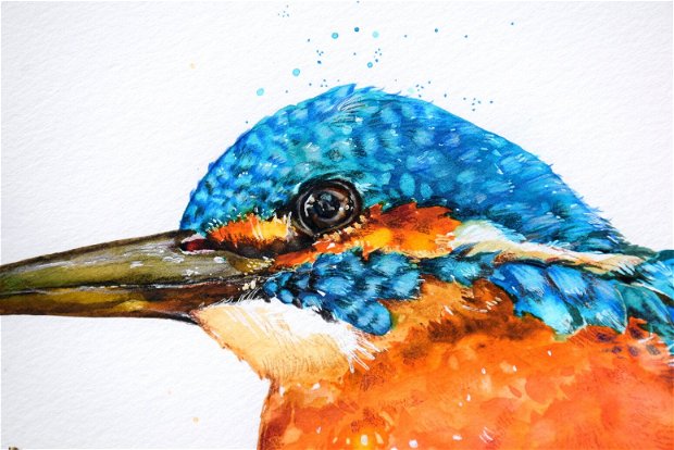 Kingfisher - Pictura Originala in Acuarela - Birds Collection