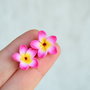 Plumeria roz fuxia- cercei surub