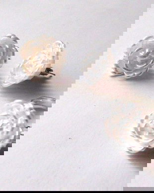 set trandafiri albi 37681