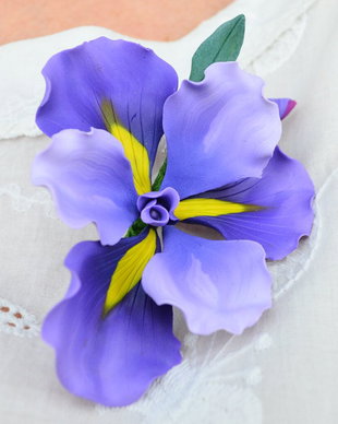 Iris- brosa supradimensionata