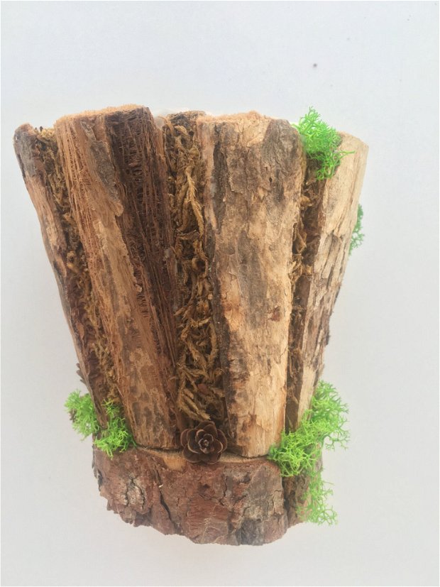 Ghiveci din scoarta naturala de copac, infrumusetat cu licheni stabilizati, muschi padure