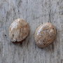 Cabochon picture jasper, 16x12 mm (2 buc)