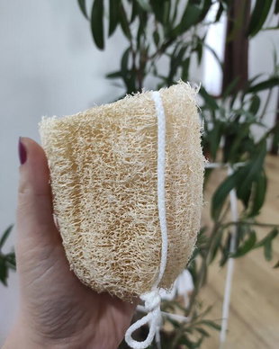 Burete luffa