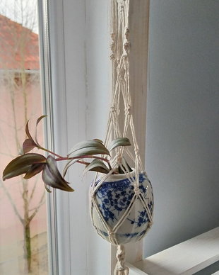 Hanging planter