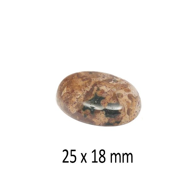 Cabochon Jasper agatizat, 25 x 18 mm, A169