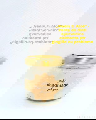 ,,Neem & Aloe" - Pasta de dinti ayurvedica calmanta, pentru gingii cu probleme (110gr.)