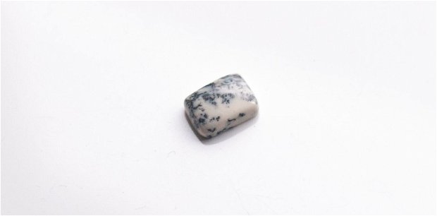 Cabochon  opal dendritic - L99