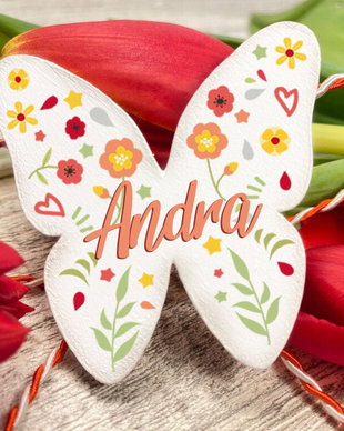 Martisor fluturas - Spring
