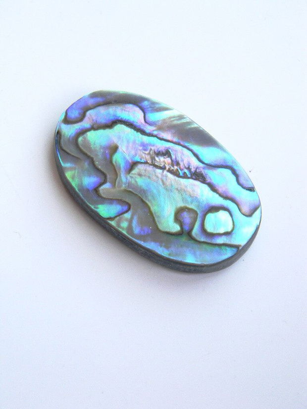 Caboson sidef Paua Shell (C4)