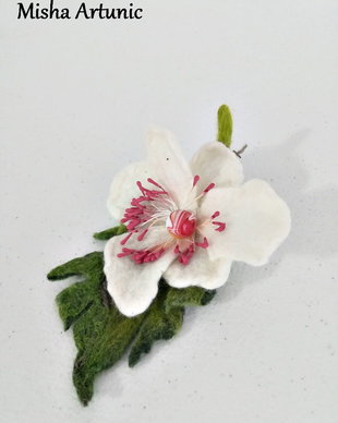Brosa impaslita - Anemona