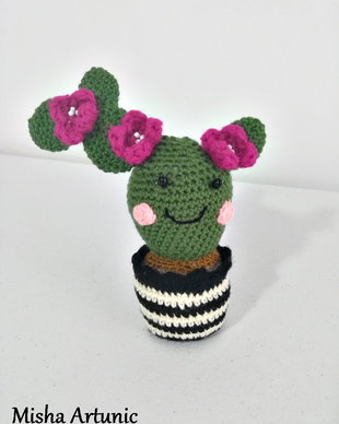 Cactusul crosetat