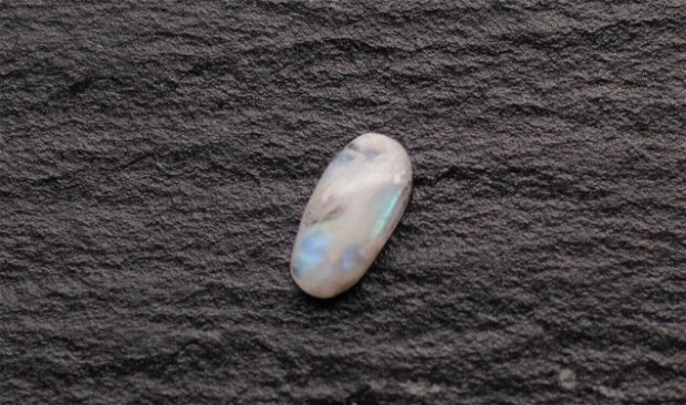 Rainbow Moonstone  oval - 16.2 x 8 x 4.4 mm [ MS80779]