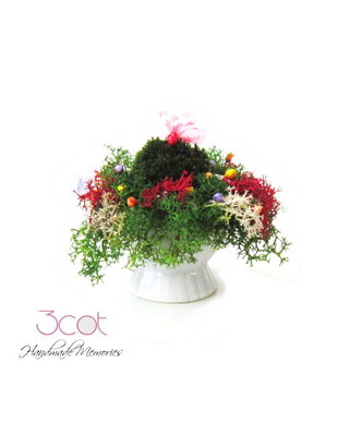 Decoratiune cu licheni si flori naturale uscate- Micro landscape