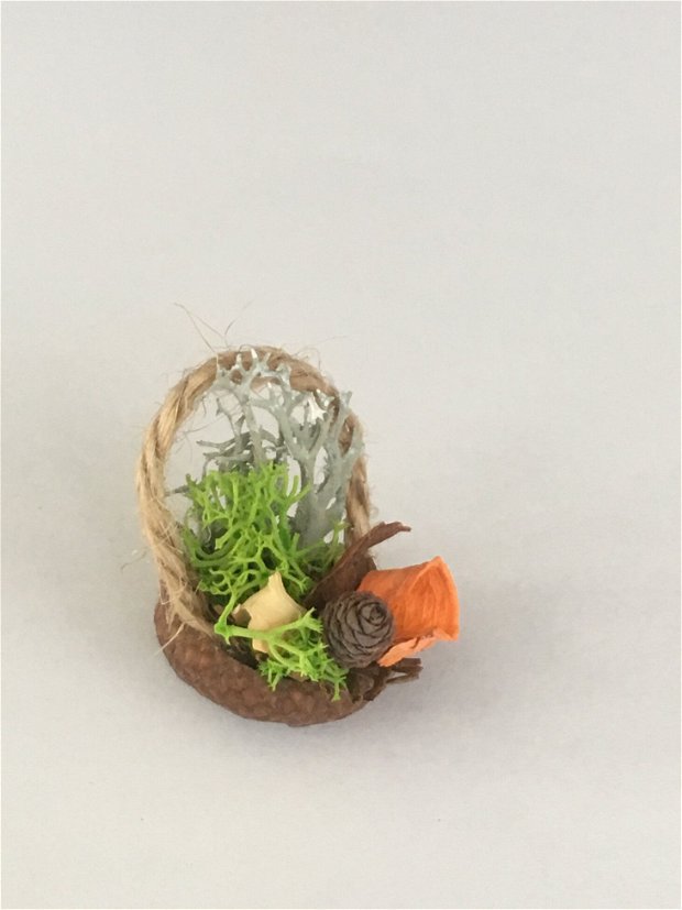 Martisoare/Mărturii licheni Mini coșulețe din ghinda sau coaja de nuca -cu flori uscate , licheni stabilizati , flori uscate, miniconuri pin