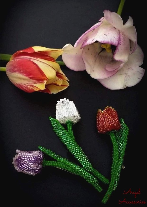 Mini Tulip