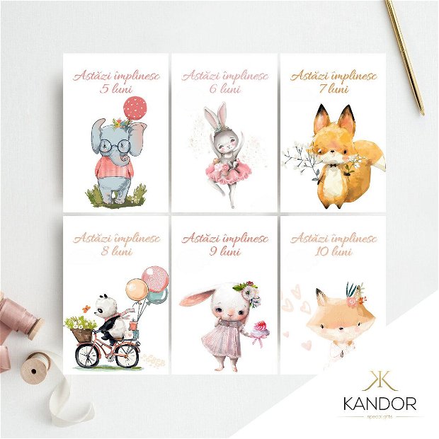 Set 18 cartonașe pentru nou-născut "Primul an din viața mea", Kandor Special Gifts, 10X15, Baby Milestone, fetită