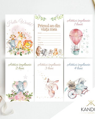 Set 18 cartonașe pentru nou-născut "Primul an din viața mea", Kandor Special Gifts, 10X15, Baby Milestone, fetită