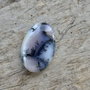 Cabochon opal dendritic, 30x20 mm