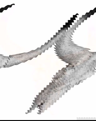 Decoratiune cu coarne de bou