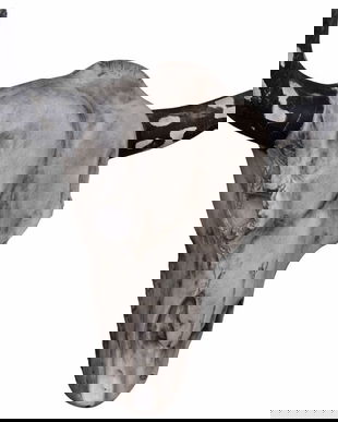 Decoratiune cu coarne de bou