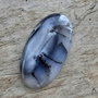 Cabochon opal dendritic, 41x21 mm