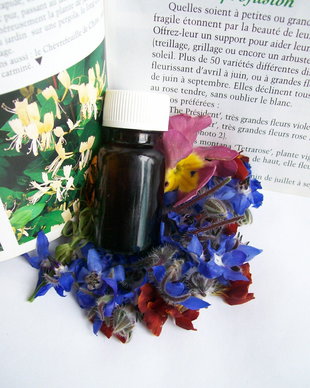 HERBALIST CREATIVITY OIL  complex pentru creativitate