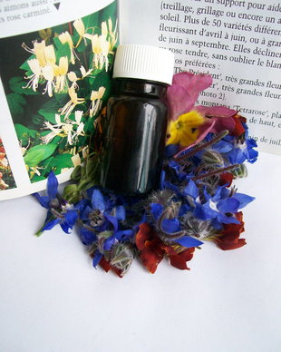 HERBALIST MOTIVATION OIL  complex uleiuri esentiale motivationale
