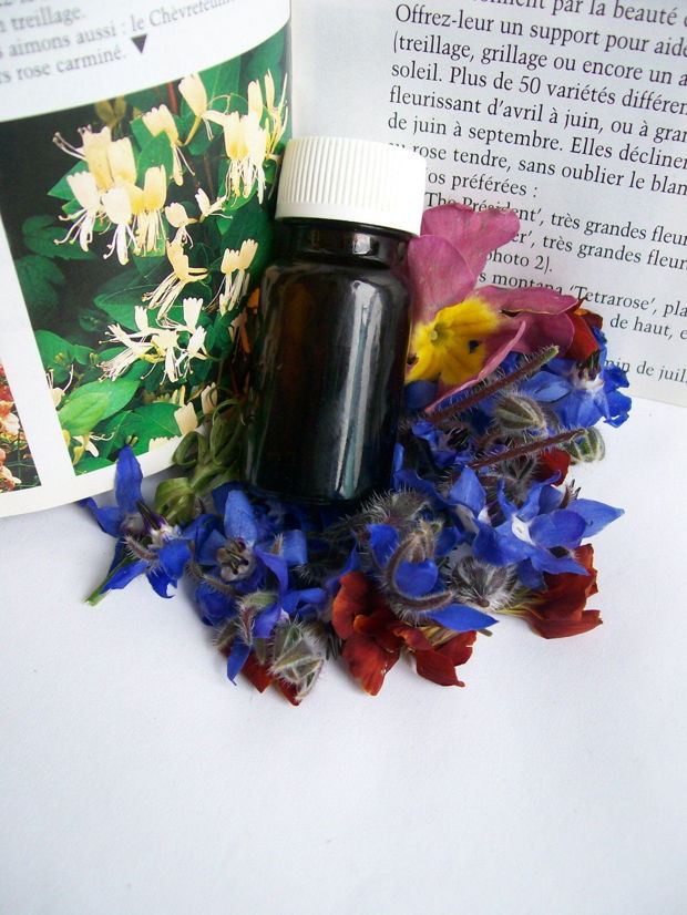 HERBALIST HARMONY OIL  complex protector armonie in viata