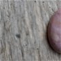 Cabochon rodonit roz, 40x30 mm