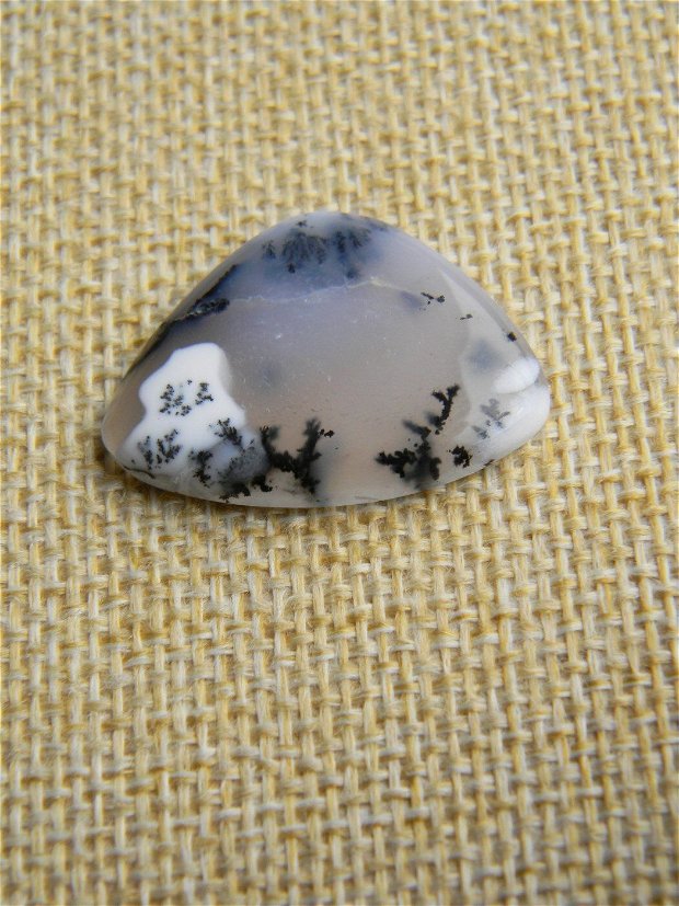Caboson opal dendritic (C34)