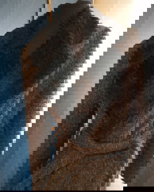 Pardesiu Primavara-Toamna