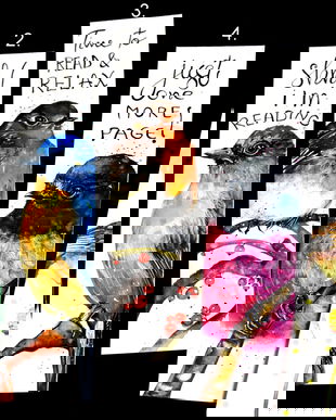 Semne de Carte Pasari, Ilustratii, Carti, Pictura in Acuarela, Cadou Original, Carte - Nature & Colors Collection