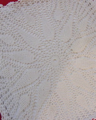 Husa perna decor dantela