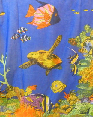 Nou-Pareo  imagini ocean