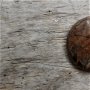 Cabochon jasp picasso, 30 mm