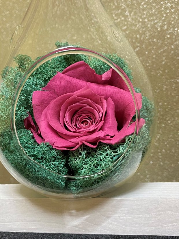 Hexagon lemn cu bol sticla in forma de lacrima cu licheni si trandafir criogenat