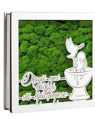 Caseta decorativa cu licheni, Nasi, Botez, DekoLaser, CDL1100L