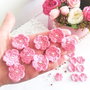 Lot floricele crosetate manual. Aplicatii crosetate. Floricele roz
